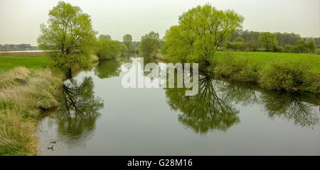 Aerial, aerial View, reflektieren Bäume im Wasser, Lippeauen, Lippe Flux Flow, Naturschutzgebiet südlich von pflegt, pflegt Ruhrgebiet,, Stockfoto