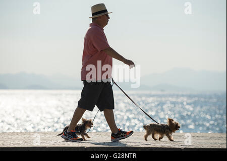 RIO DE JANEIRO - 3. April 2016: Brasilianische Mann geht ein paar kleine Hunde entlang einen hellen Morgen Blick auf die Copacabana-Promenade Stockfoto