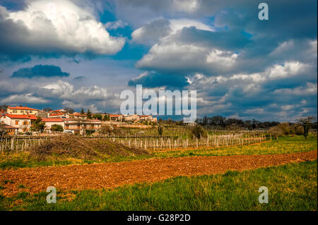 Slowenien-Küste und Karst - Slowenien - Wein-Weg - Sezana Landschaft Karst Stockfoto