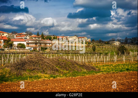 Slowenien-Küste und Karst - Slowenien - Wein-Weg - Sezana Landschaft Karst Stockfoto