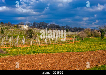 Slowenien-Küste und Karst - Slowenien - Wein-Weg - Sezana Landschaft Karst Stockfoto