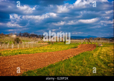 Slowenien-Küste und Karst - Slowenien - Wein-Weg - Sezana Landschaft Karst Stockfoto