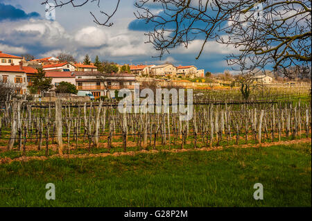 Slowenien-Küste und Karst - Slowenien - Wein-Weg - Sezana Landschaft Karst Stockfoto