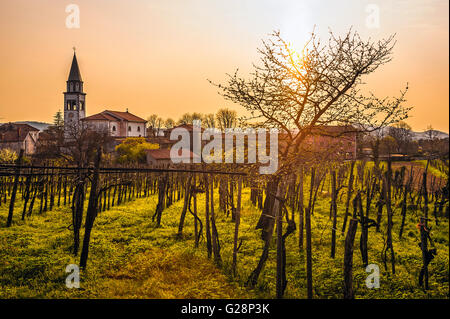 Slowenien-Küste und Karst - Slowenien - Wein-Weg - Gorjansko Komen Karst Stockfoto