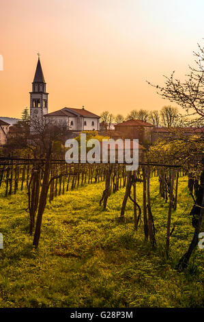 Slowenien-Küste und Karst - Slowenien - Wein-Weg - Gorjansko Komen Karst Stockfoto