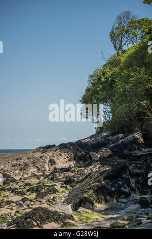 St. Illtyds, Oxwich, Gower Peninsular Stockfoto