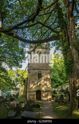 St. Illtyds, Oxwich, Gower Peninsular Stockfoto