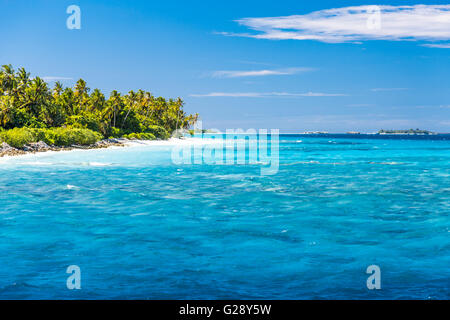 Tropischer Traumstrand auf den Malediven mit einigen Palmen und die blaue Lagune Stockfoto
