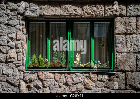 Künstliche Blumen und ein Ninja Turtle verbessern dieses Schaufenster in Budapest, Ungarn Stockfoto