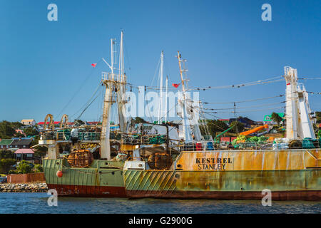 Fischereifahrzeuge im Hafen von der Port Stanley, Falkland-Inseln, britische Überseegebiet. Stockfoto
