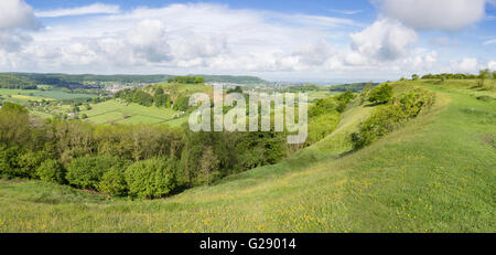 Panorama des Baumes gekrönt Downham Hill im Frühling von Uley Bury Burgberg nahe Dursley, Gloucestershire, England, UK Stockfoto