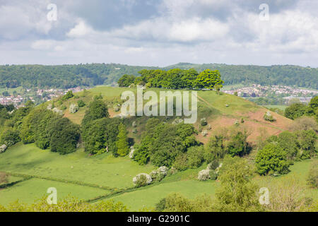 Der Baum gekrönt Downham Hill im Frühling von Uley Bury Burgberg nahe Dursley, Gloucestershire, England, UK Stockfoto