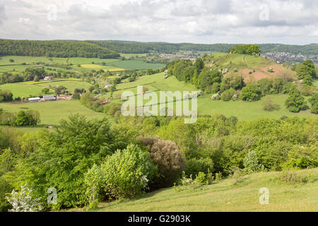 Der Baum gekrönt Downham Hill im Frühling von Uley Bury Burgberg nahe Dursley, Gloucestershire, England, UK Stockfoto