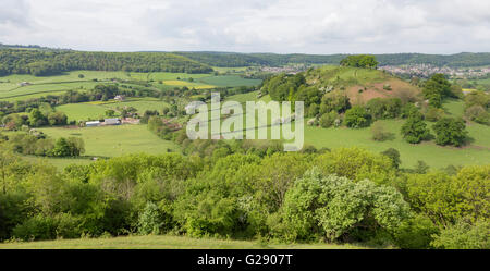 Der Baum gekrönt Downham Hill im Frühling von Uley Bury Burgberg nahe Dursley, Gloucestershire, England, UK Stockfoto