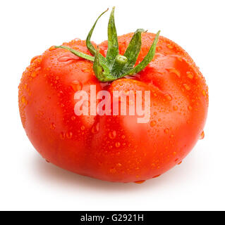 rote Tomate isoliert Stockfoto