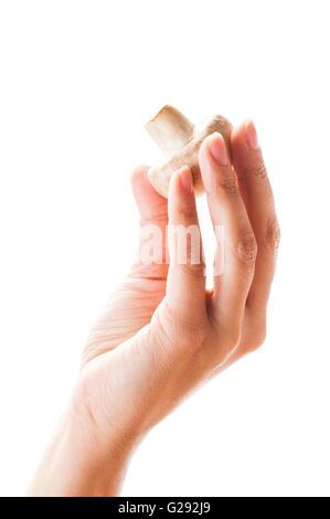 Weiße weibliche Hand hält einen Champignon Pilz zwischen den Fingern auf weißem Hintergrund Stockfoto