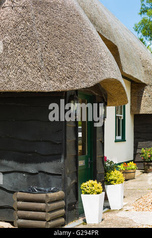 Strohgedeckten Royal Oak Pub am North Gorley im New Forest National Park im Mai Stockfoto