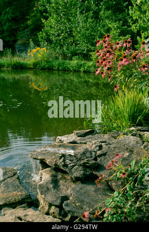 Teich in der Nähe von Haus mit blühenden Sonnenhut spiegelt sich im Wasser, Missouri, USA Stockfoto
