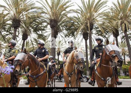 Anaheim, Kalifornien, USA. 25. Mai 2016. Demonstranten Zusammenstoß mit Polizisten und Fans nach einer Kundgebung von 2016 republikanische Präsidentschaftskandidat Donald Trump in Anaheim, Kalifornien statt. Mehrere Festnahmen erfolgten. Bildnachweis: Mariel Calloway/ZUMA Draht/Alamy Live-Nachrichten Stockfoto