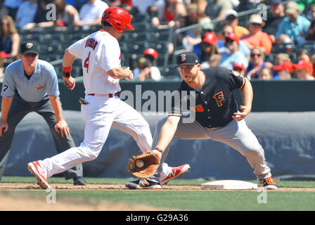 Memphis, TN, USA. 22. Mai 2016. Memphis-Läufer Patrick Wisdom (4) versucht, um wieder zu ersten Base vor Fotomarkierungen von Fresno erster Basisspieler AJ Reed (38) während des vierten Innings der MiLB Baseball Spiel zwischen den Round Rock Express und Memphis Redbirds im AutoZone Park in Memphis, Memphis TN. 8: 1 gewonnen. Austin McAfee/CSM/Alamy Live-Nachrichten Stockfoto