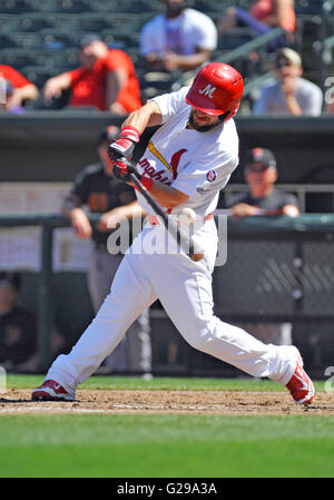 Memphis, TN, USA. 22. Mai 2016. Memphis Outfielder Nick Martini trifft einen Foul Ball während der vierten Inning eine MiLB Baseball-Spiel zwischen den runden Rock Express und Memphis Redbirds im AutoZone Park in Memphis, TN-Memphis gewann 8: 1. Austin McAfee/CSM/Alamy Live-Nachrichten Stockfoto
