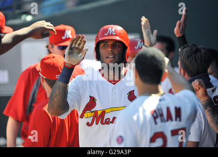 Memphis, TN, USA. 22. Mai 2016. Memphis Outfielder David Washington (Mitte) feiert mit Teamkollegen auf der Trainerbank nach seinem Tor einen Lauf während der sechsten Inning eine MiLB Baseball-Spiel zwischen den Round Rock Express und Memphis Redbirds im AutoZone Park in Memphis, TN-Memphis gewann 8: 1. Austin McAfee/CSM/Alamy Live-Nachrichten Stockfoto