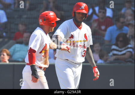 Memphis, TN, USA. 22. Mai 2016. Memphis Infielder Greg Garcia (links) und Outfielder David Washington (rechts) feiern nach jeder scoring läuft während der sechsten Inning eine MiLB Baseball-Spiel zwischen den runden Rock Express und Memphis Redbirds im AutoZone Park in Memphis, TN-Memphis gewann 8: 1. Austin McAfee/CSM/Alamy Live-Nachrichten Stockfoto
