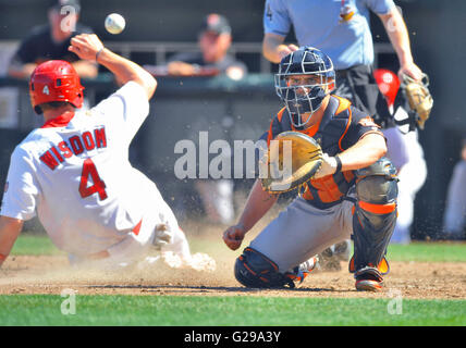 Memphis, TN, USA. 22. Mai 2016. Fresno-Catcher sieht Max Stassi (rechts) in der Kugel während Memphis Läufer, die Patrick Wisdom in Home-Plate während der sechsten Inning eine MiLB Baseball-Spiel zwischen den Round Rock Express und Memphis Redbirds im AutoZone Park in Memphis Dias, Memphis TN. 8: 1 gewonnen. Austin McAfee/CSM/Alamy Live-Nachrichten Stockfoto