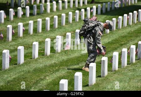 Arlington, USA. 26. Mai 2016. Ein Soldat aus der 3. US-Infanterie-Regiment stellt die Flaggen in Grabstätten während der "Flaggen-In"-Zeremonie auf dem Arlington National Cemetery in Arlington, Virginia, USA, am 26. Mai 2016. Mehr als 1.000 Soldaten platziert Flaggen für über 223.000 Gräber auf dem Friedhof, Memorial Day, dem letzten Montag im Mai zu markieren. Bildnachweis: Yin Bogu/Xinhua/Alamy Live-Nachrichten Stockfoto