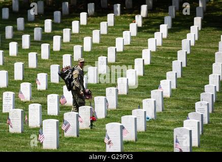 Arlington, USA. 26. Mai 2016. Ein Soldat aus der 3. US-Infanterie-Regiment stellt die Flaggen in Grabstätten während der "Flaggen-In"-Zeremonie auf dem Arlington National Cemetery in Arlington, Virginia, USA, am 26. Mai 2016. Mehr als 1.000 Soldaten platziert Flaggen für über 223.000 Gräber auf dem Friedhof, Memorial Day, dem letzten Montag im Mai zu markieren. Bildnachweis: Yin Bogu/Xinhua/Alamy Live-Nachrichten Stockfoto