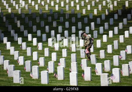 Arlington, USA. 26. Mai 2016. Ein Soldat aus der 3. US-Infanterie-Regiment stellt die Flaggen in Grabstätten während der "Flaggen-In"-Zeremonie auf dem Arlington National Cemetery in Arlington, Virginia, USA, am 26. Mai 2016. Mehr als 1.000 Soldaten platziert Flaggen für über 223.000 Gräber auf dem Friedhof, Memorial Day, dem letzten Montag im Mai zu markieren. Bildnachweis: Yin Bogu/Xinhua/Alamy Live-Nachrichten Stockfoto