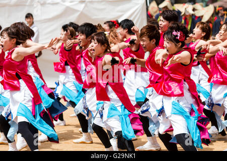 Japan, Kumamoto. Hinokuni Yosakoi Dance Festival. Frauen Mannschaft in Rosa happi Jacken, Tanzen und Holding naruko, hölzerne Klöppel. Im Freien, tagsüber. Stockfoto