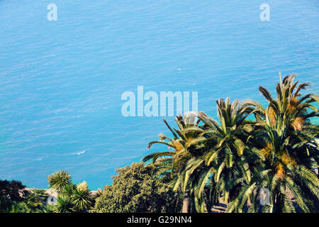 Palmen vor blauem Meer Stockfoto