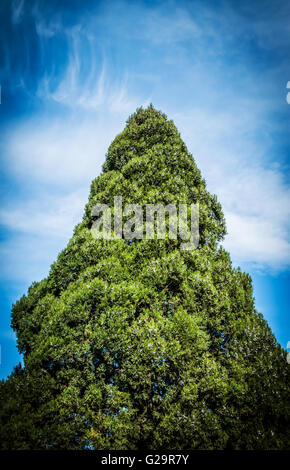 Peking Stadt - Aufnahmen von China Stockfoto