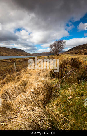 Von der Seite des Loch Shin auf der A838 in Sutherland Schottland, Vereinigtes Königreich Stockfoto