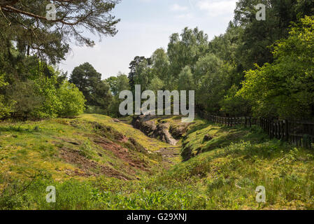 Motor Ader mir an Alderley Edge, Cheshire, England. Stockfoto