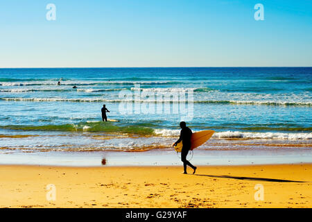 Surfer mit Surfbrettern gehen zum Meer in einem sonnigen Tag Stockfoto