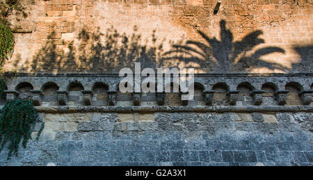 Schattenwurf von Bäumen an der Wand des Forts in Bari, Italien. Stockfoto