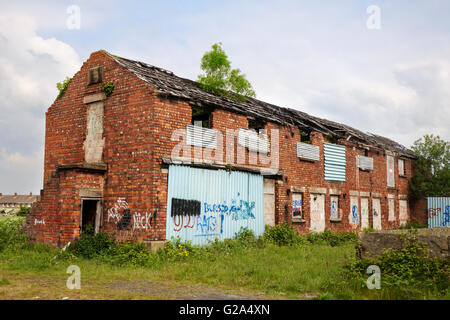 Einsame, unsichere, überwucherten 1803 Eibe aus rotem Backstein Bauernhof, Gebäude, in armen Reparatur eine gefährliche Struktur im Burscough, Lancashire, Großbritannien Stockfoto