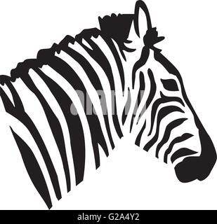 Zebra Kopf Blick von Seite Stock Vektor