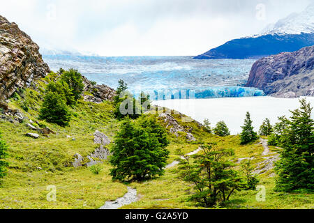 Grauen Gletscher am südlichen patagonischen Eisfeld in Chile Stockfoto