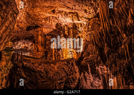 Slowenien-Küste und Kars Postojna Höhle Park Stockfoto