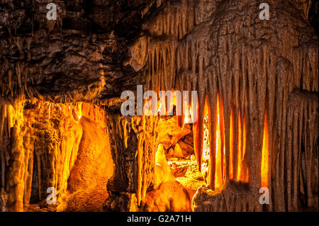 Slowenien-Küste und Kars Postojna Höhle Park-Stalaktiten Stockfoto