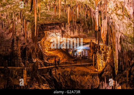 Slowenien-Küste und Kars Postojna Höhle Park Stockfoto