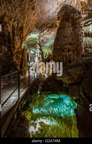 Slowenien-Küste und Kars Postojna Höhle Park Stockfoto