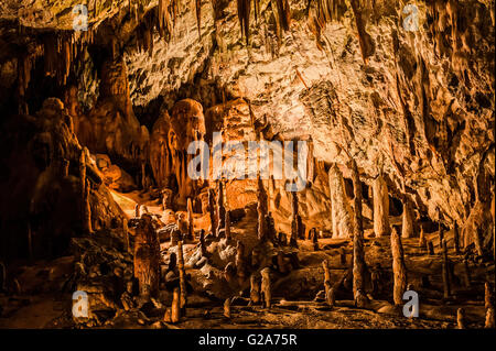 Slowenien-Küste und Kars Postojna Höhle Park Stockfoto