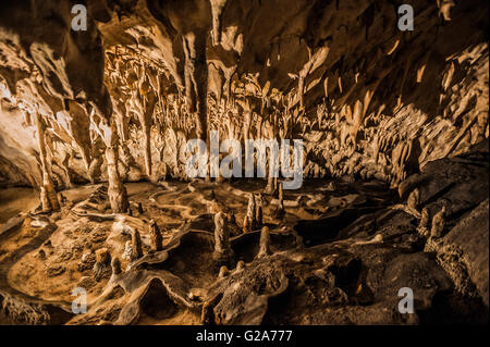 Slowenien-Küste und Kars Postojna Höhle Park - Proteus Höhle Stockfoto