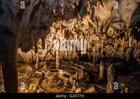 Slowenien-Küste und Kars Postojna Höhle Park - Proteus Höhle Stockfoto