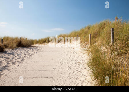 Pfad durch die Dünen zum Strand, Graal-Müritz, Ostseebad, Mecklenburg-Western Pomerania, Deutschland Stockfoto