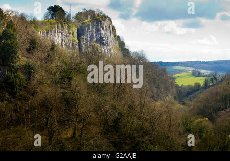 Blick auf hohe Tor eine große Kalkstein-Felswand beliebt bei Kletterern in Matlock Bath Peak District Derbyshire Dales England Stockfoto